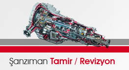 otomatik anzman Tamir Revizyon