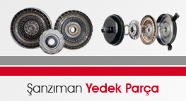 anzman Yedek Para